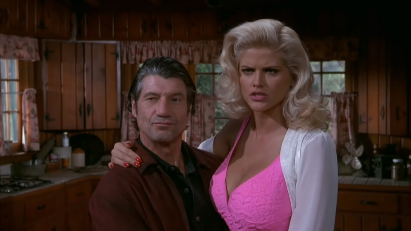 1994 Naked Gun 33ââ¦â: The Final Insult 1994 Naked Gun 33ââ¦â: The Final Insult