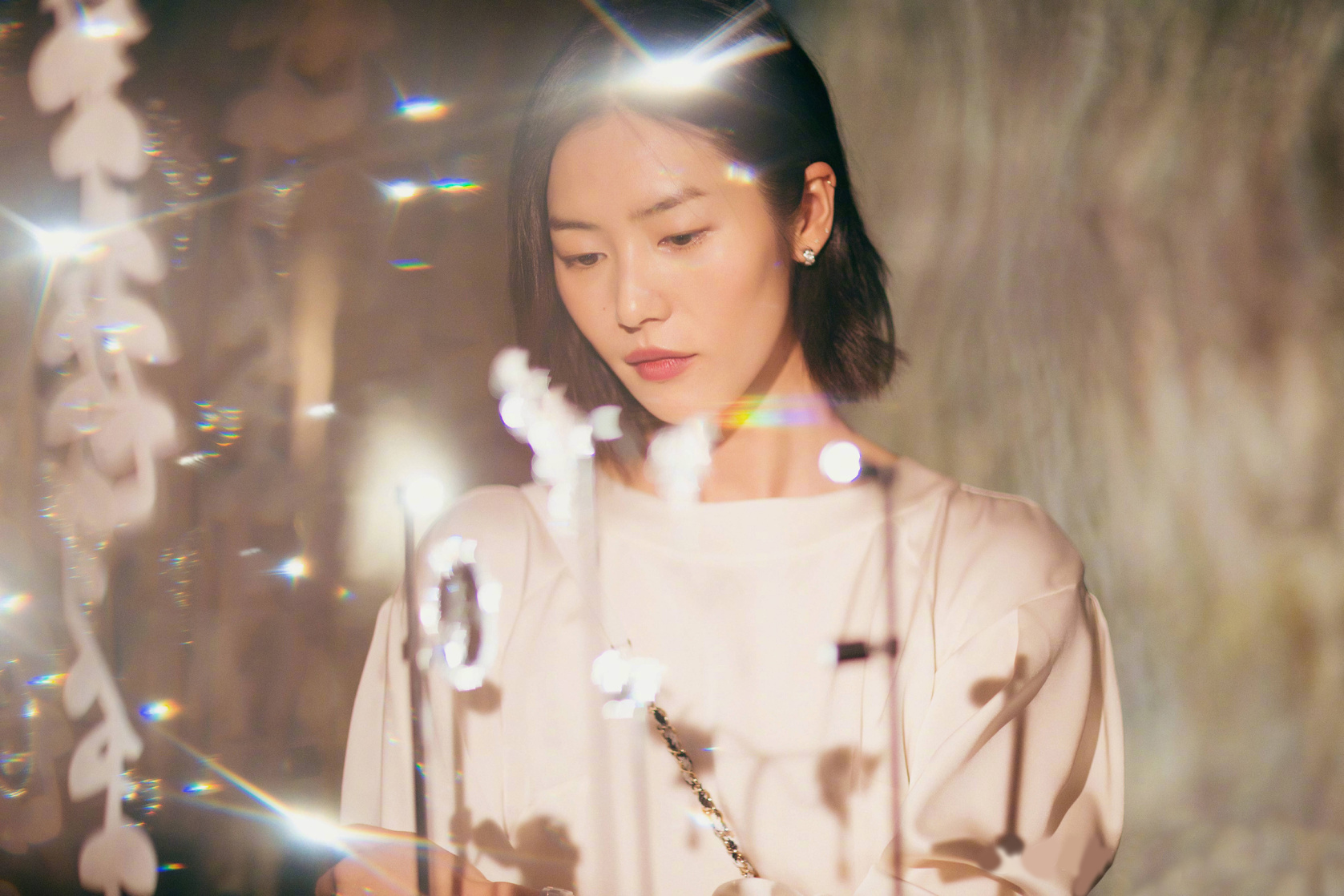 Liu Wen