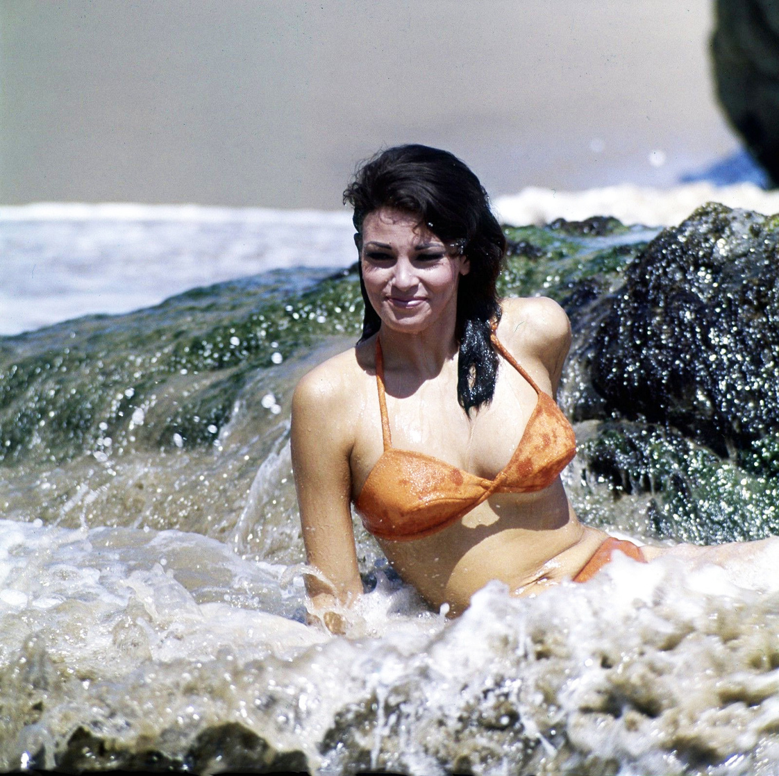 Raquel Welch