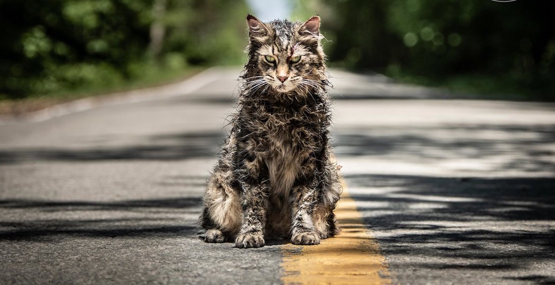Pet Sematary Pet Sematary