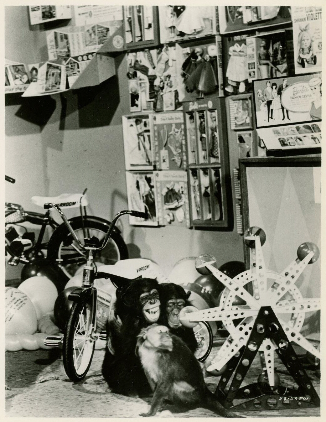 Picture Of Zebra In The Kitchen