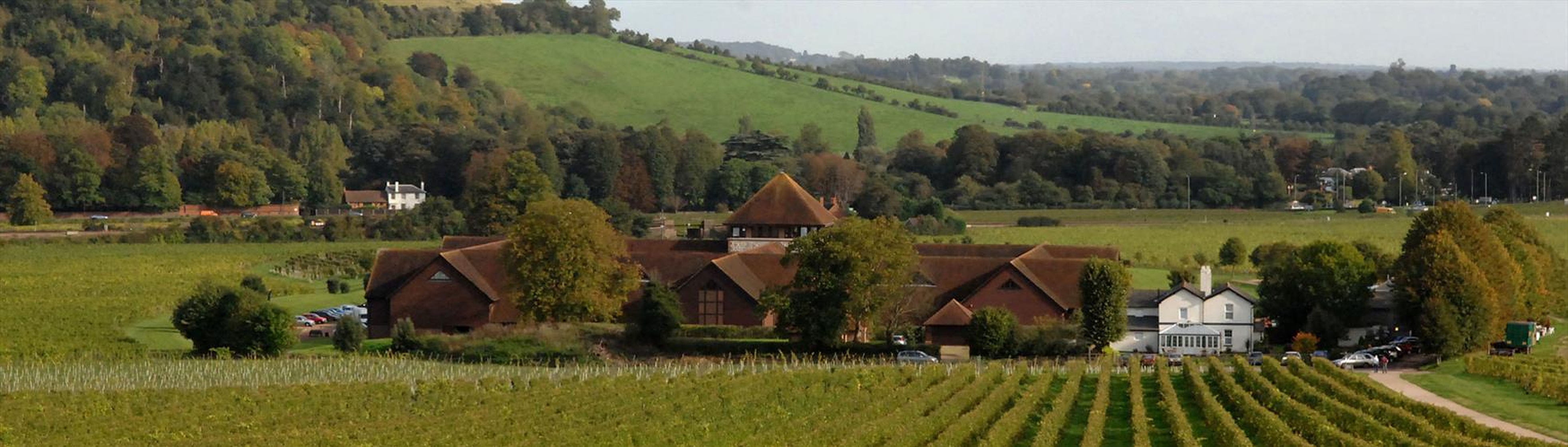 Surrey