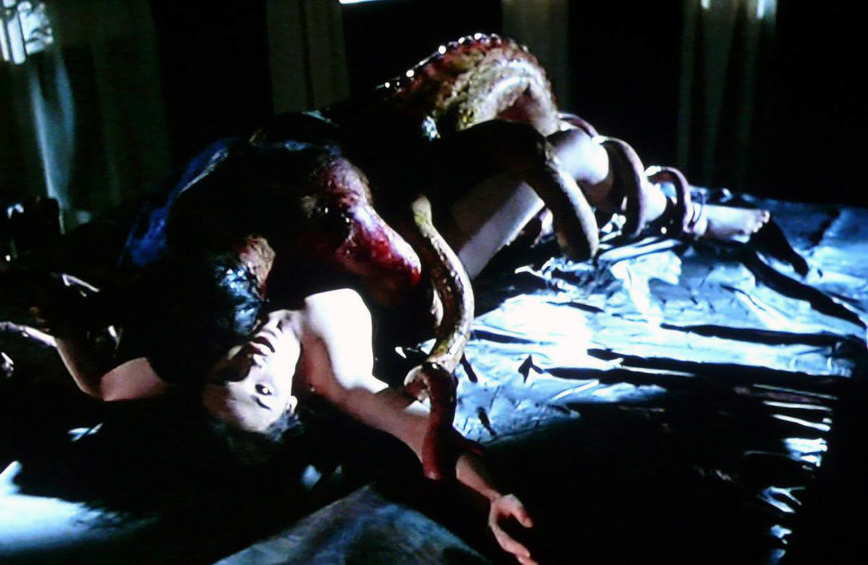 Possession (1981)