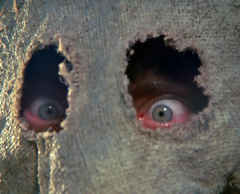 Dark Night of the Scarecrow