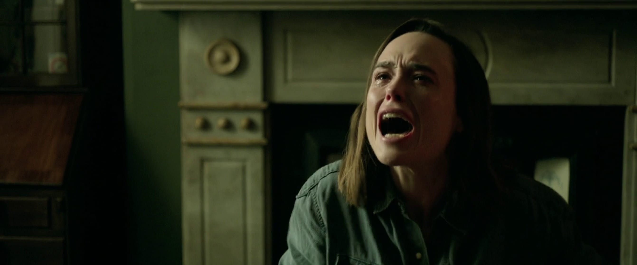 The Cured (2017) The Cured (2017)
