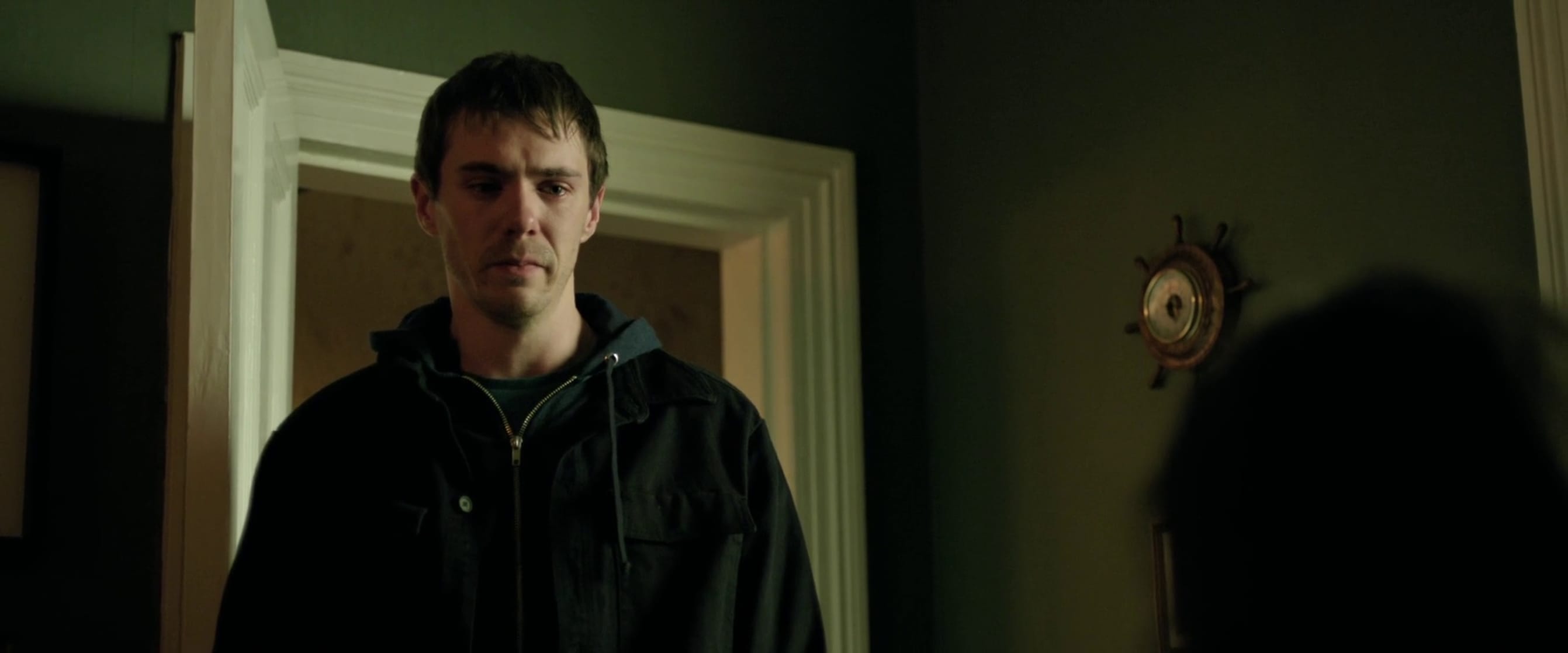 The Cured (2017) The Cured (2017)