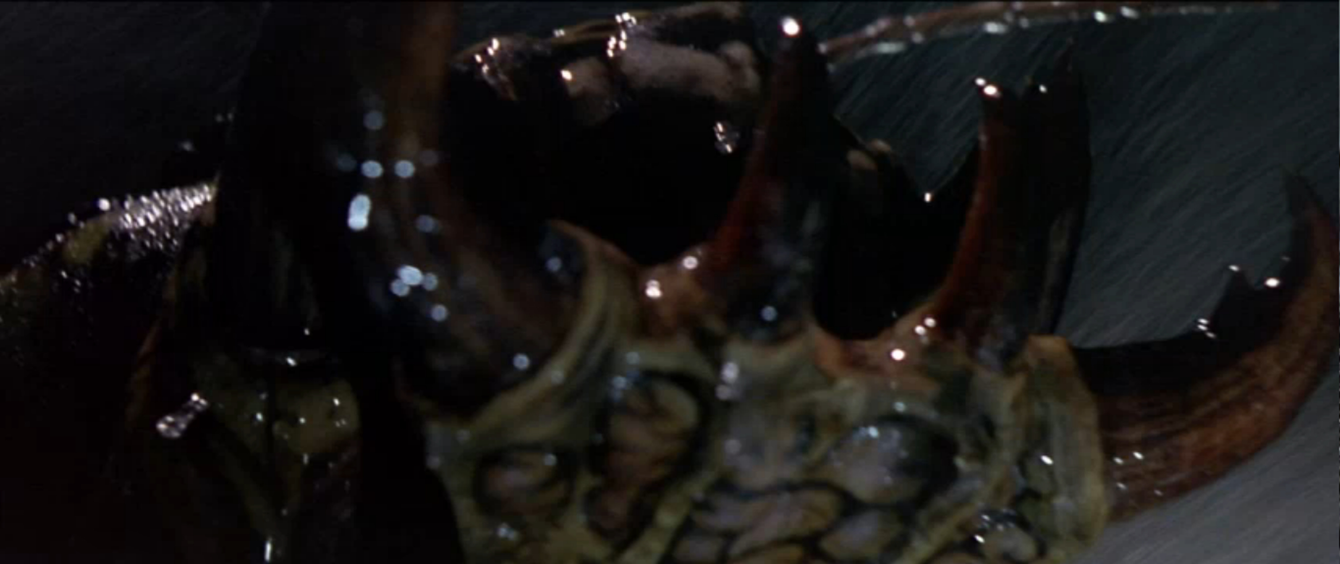 Godzilla vs. Megaguirus