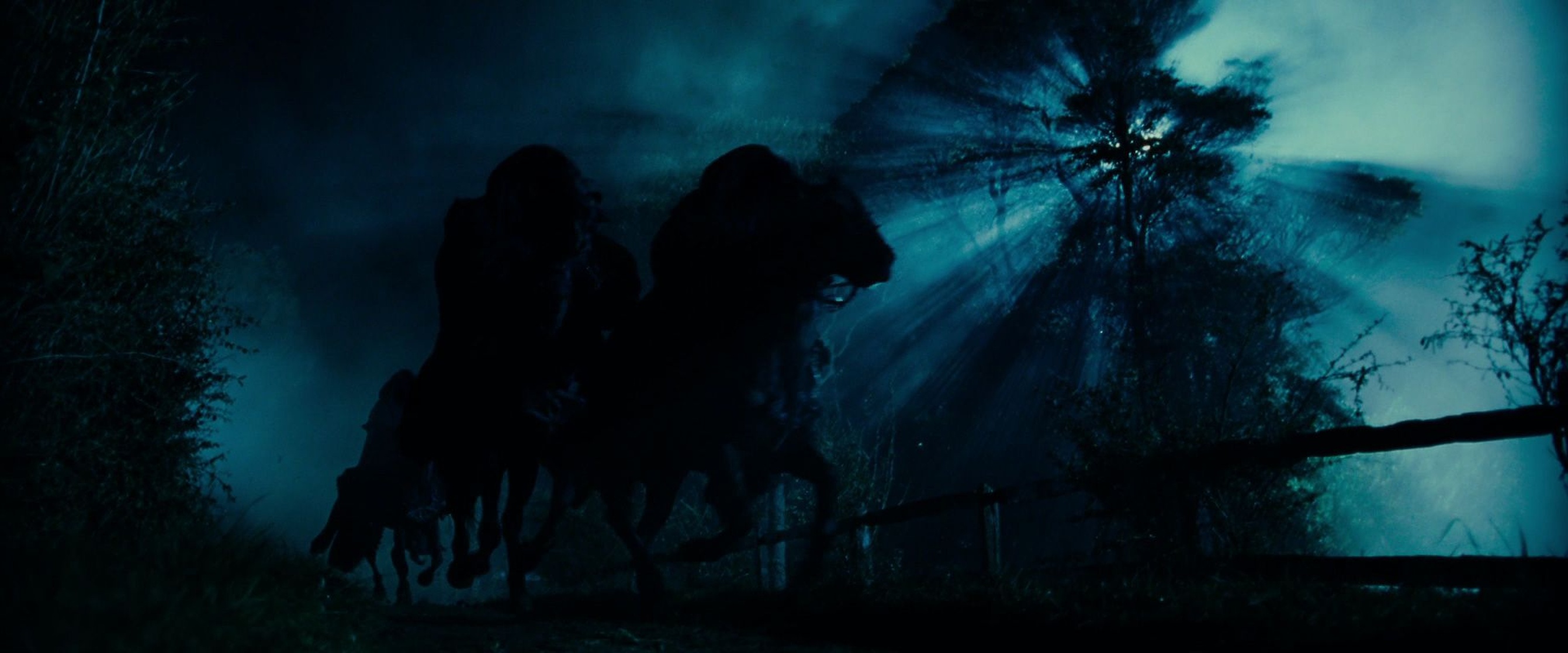 The Lord of the Rings: The Fellowship of the Ring The Lord of the Rings: The Fellowship of the Ring