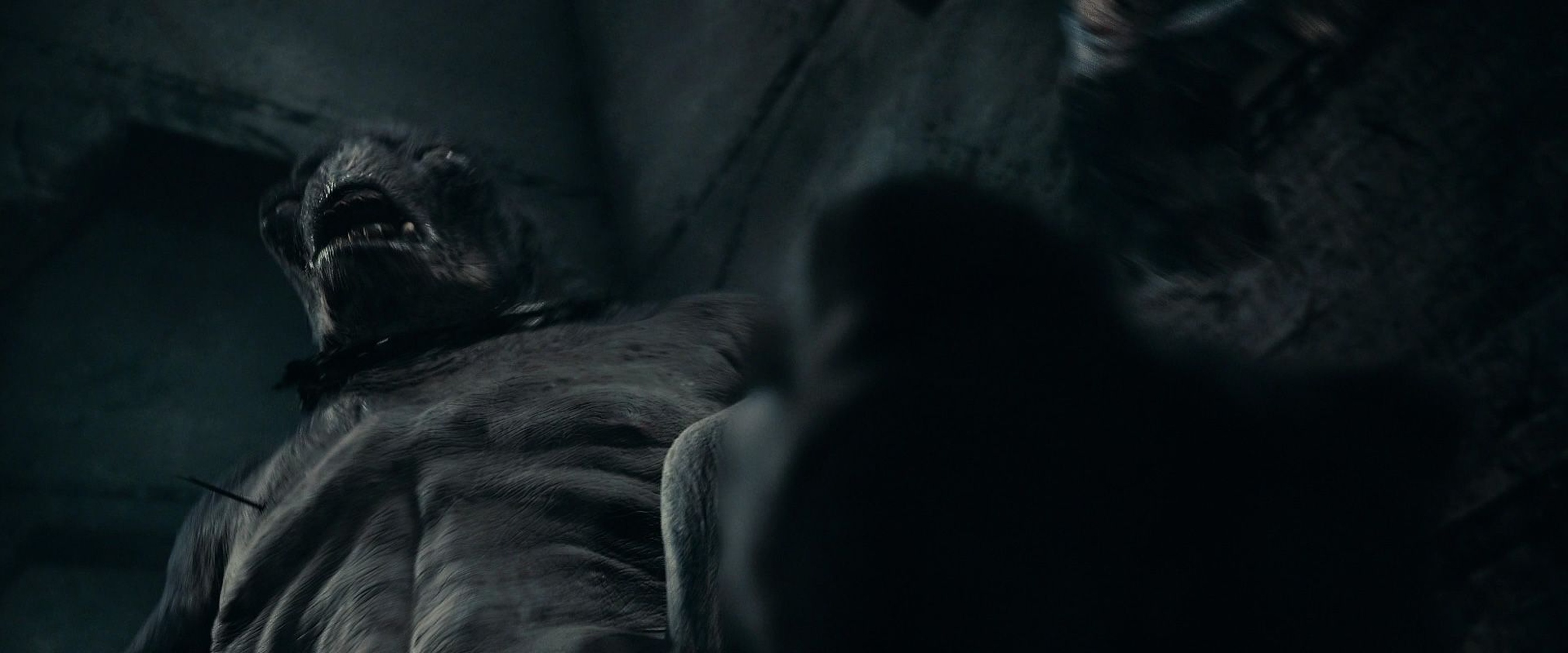 The Lord of the Rings: The Fellowship of the Ring