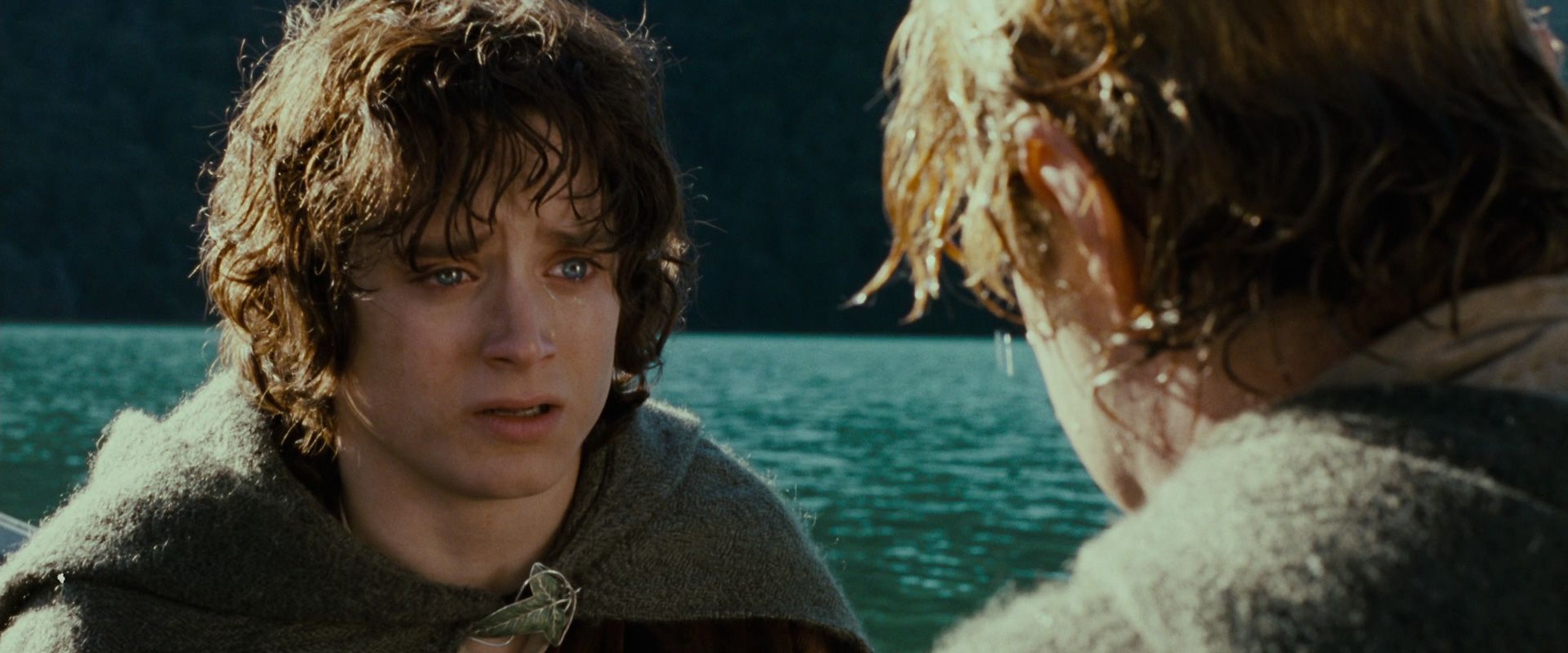 The Lord of the Rings: The Fellowship of the Ring