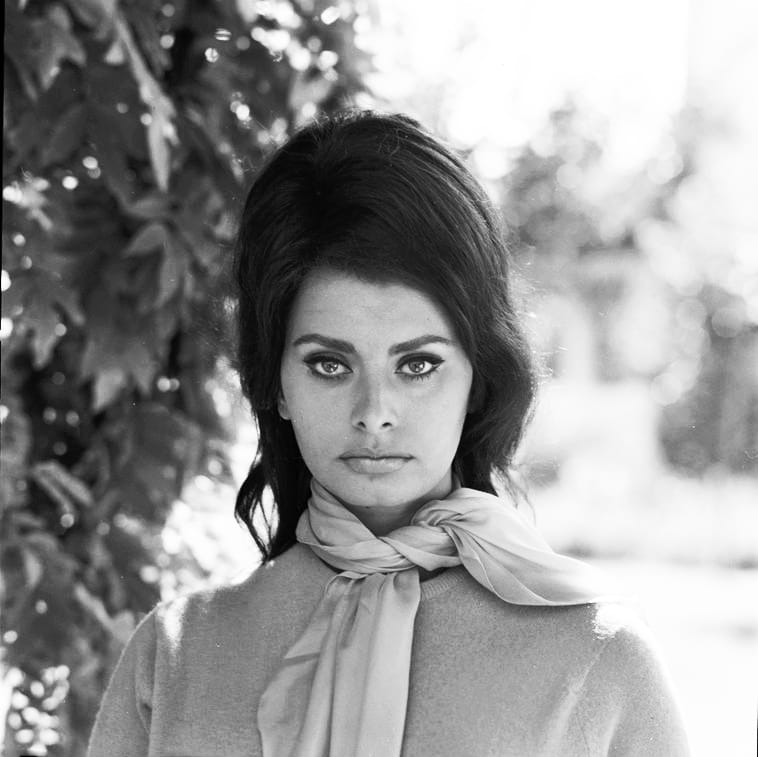 Sophia Loren Sophia Loren
