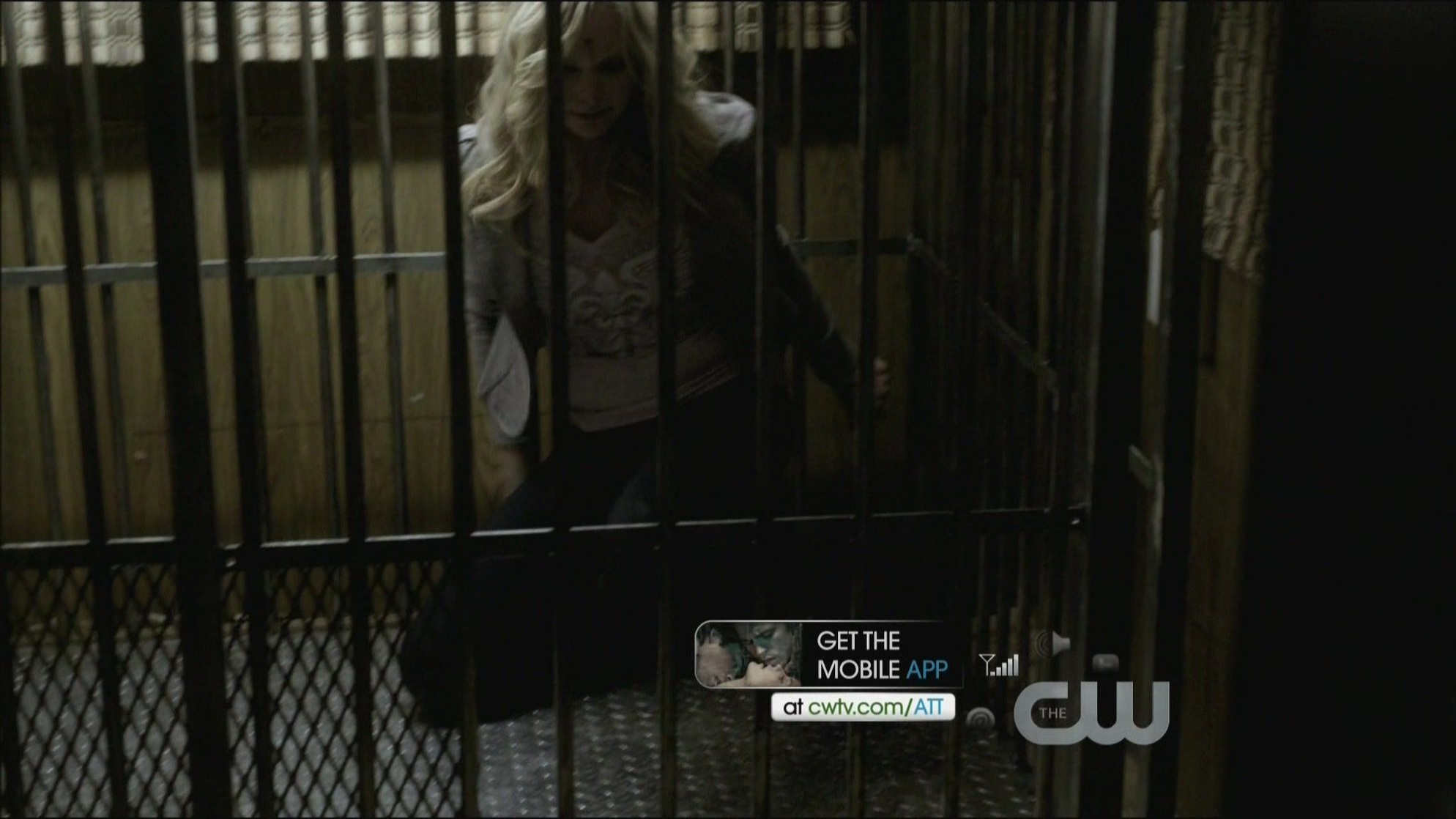 The Vampire Diaries