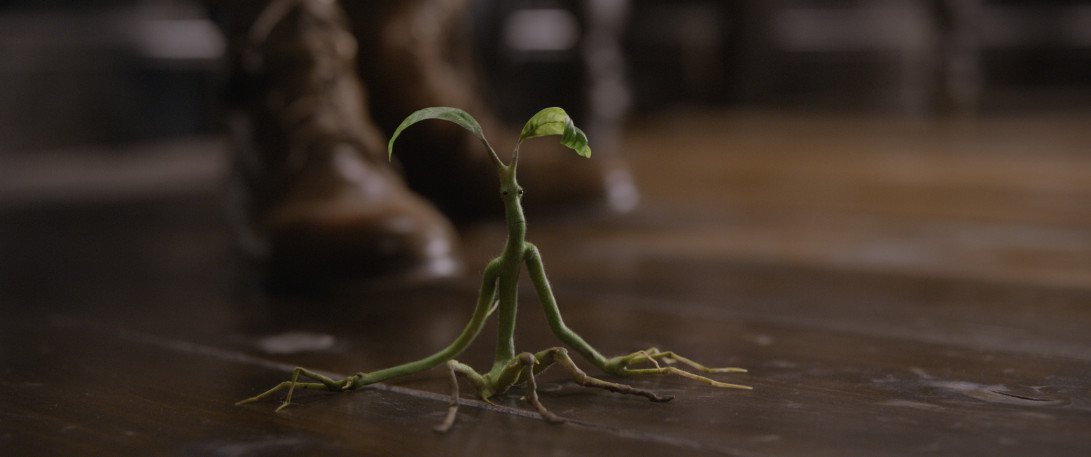 Fantastic Beasts: The Crimes of Grindelwald