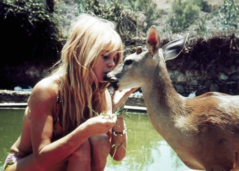 Brigitte Bardot Brigitte Bardot