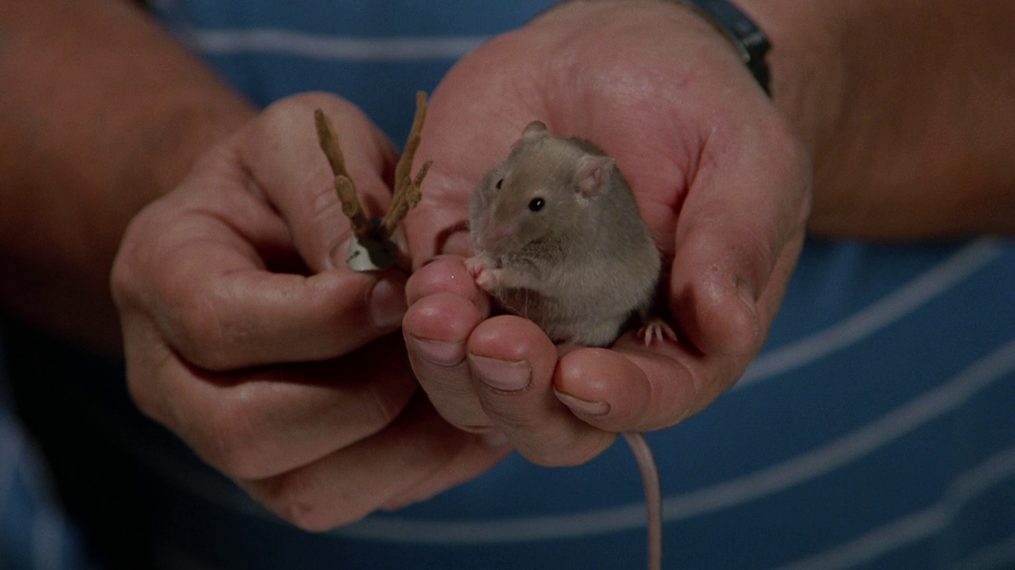 Scrooged