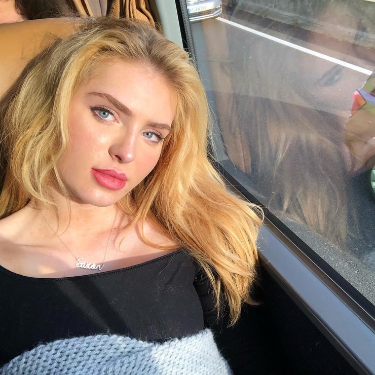 Saxon Sharbino image