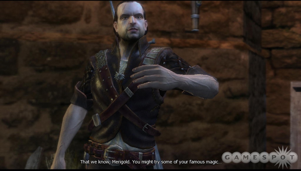 The Witcher