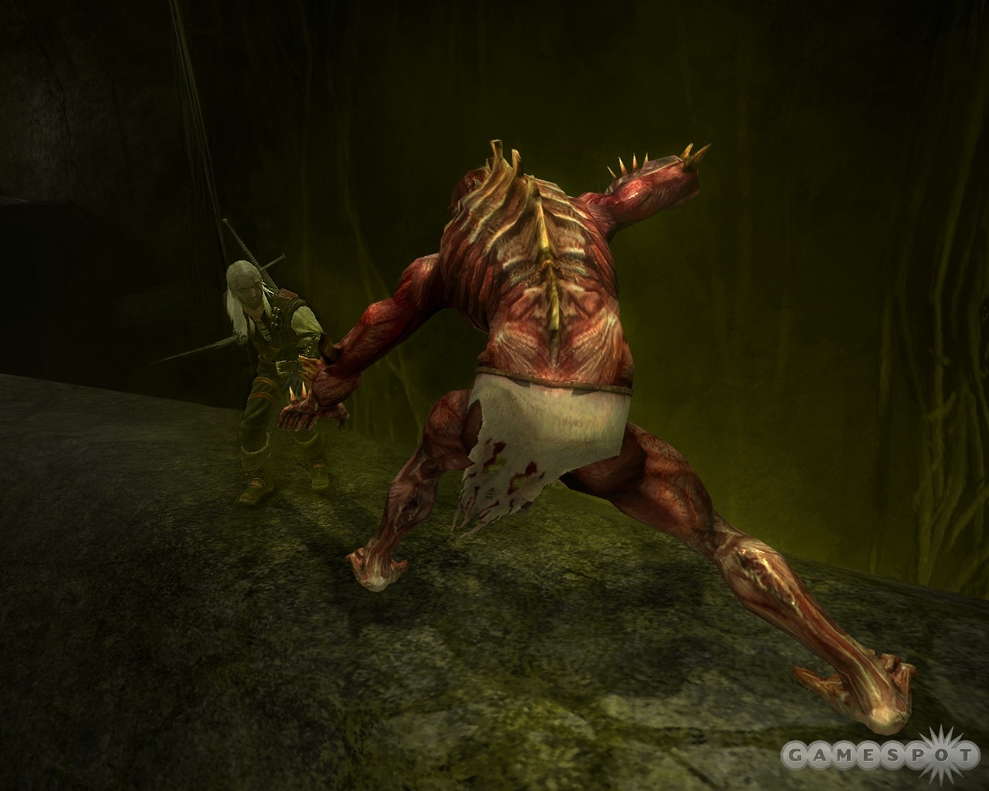 The Witcher