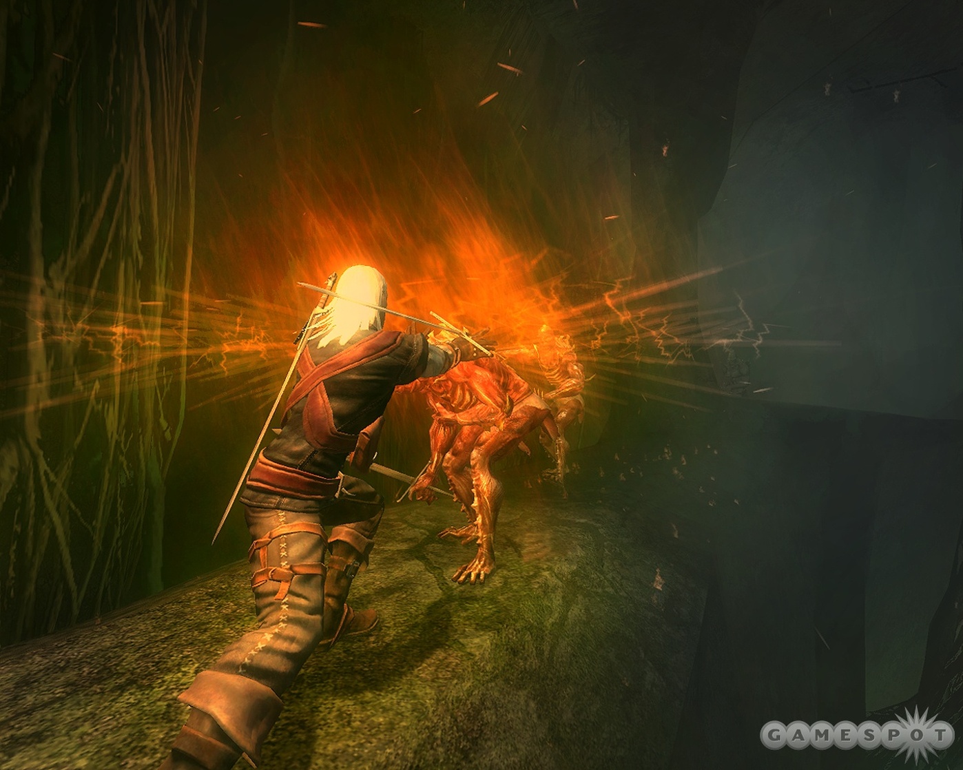 The Witcher