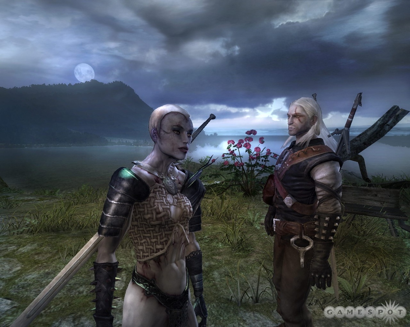 The Witcher