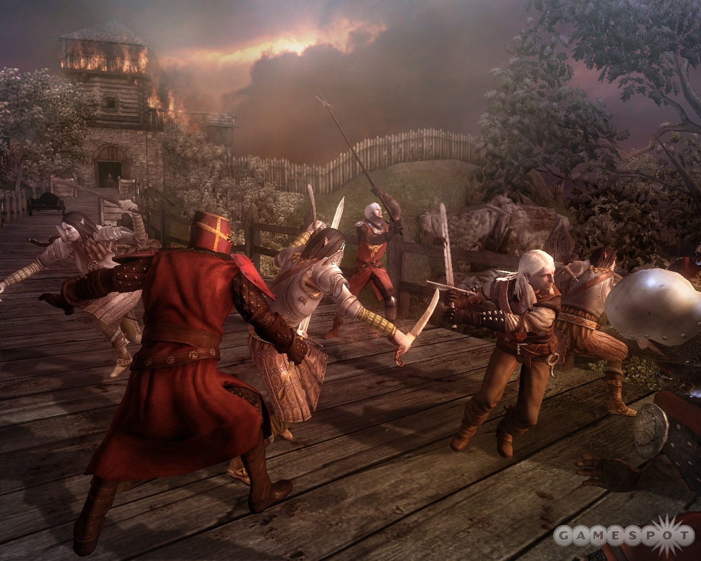 The Witcher