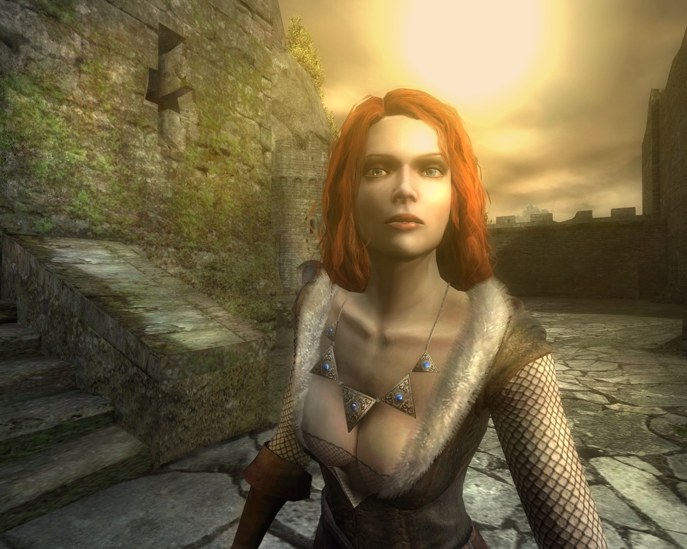 The Witcher
