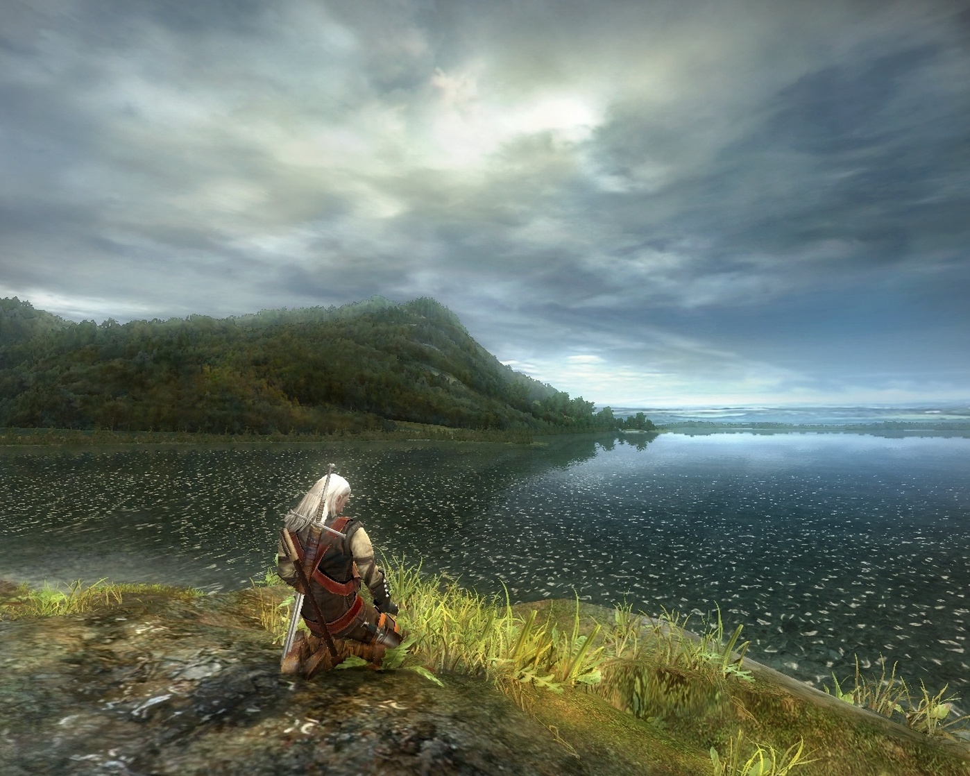 The Witcher