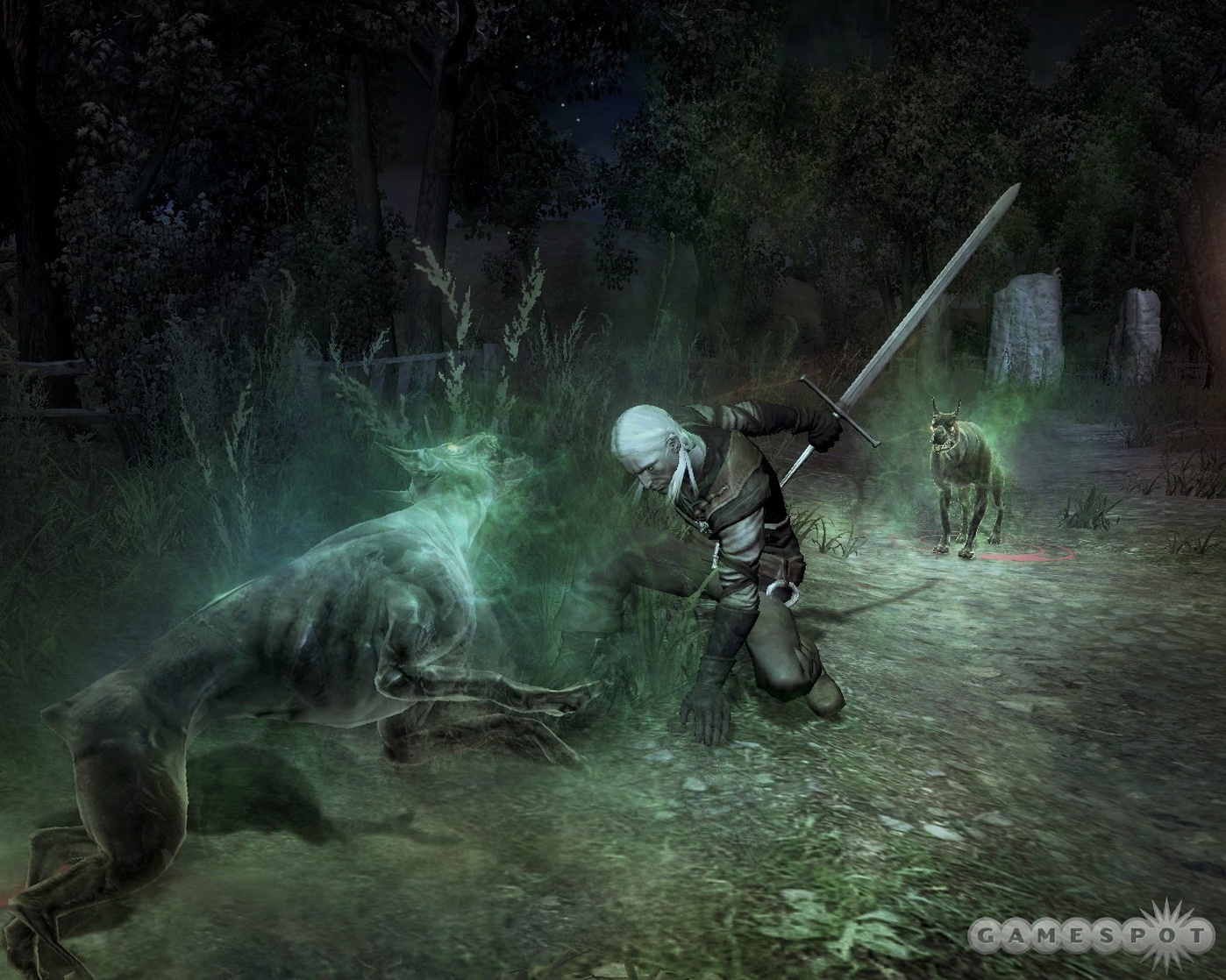 The Witcher