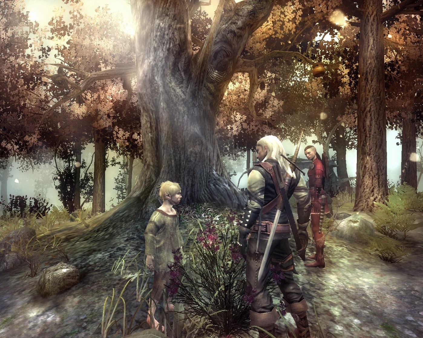 The Witcher