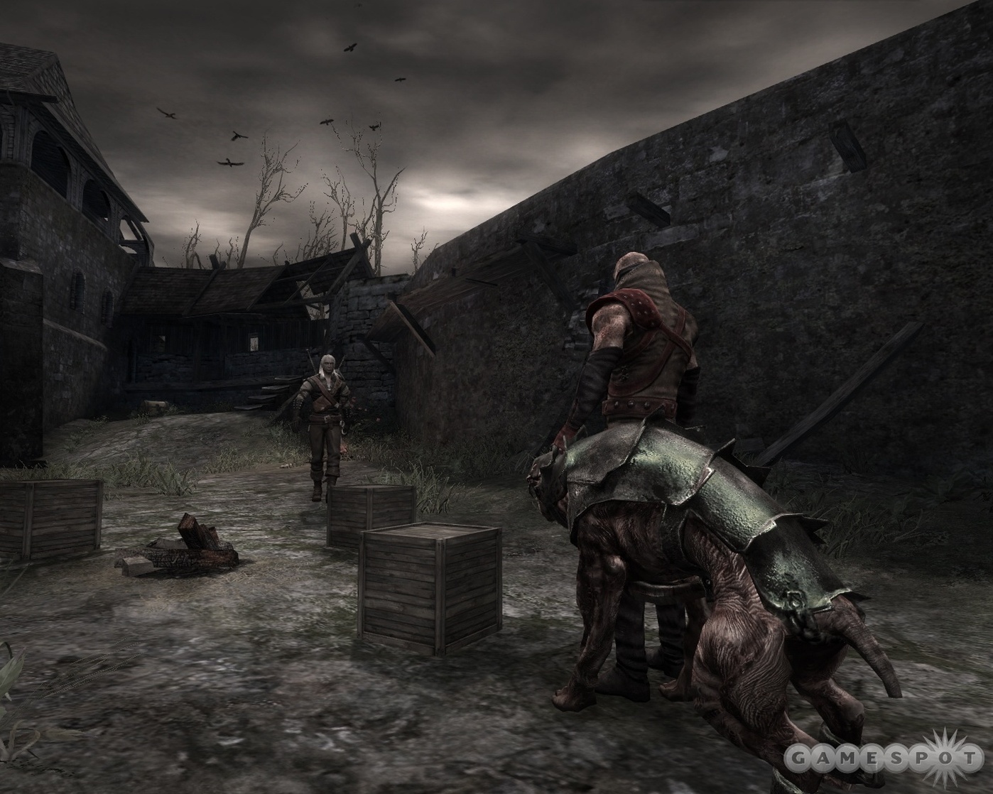 The Witcher