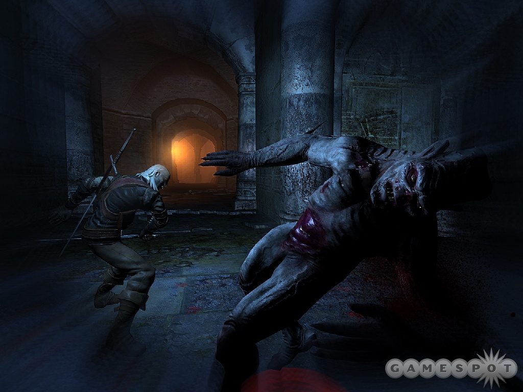 The Witcher