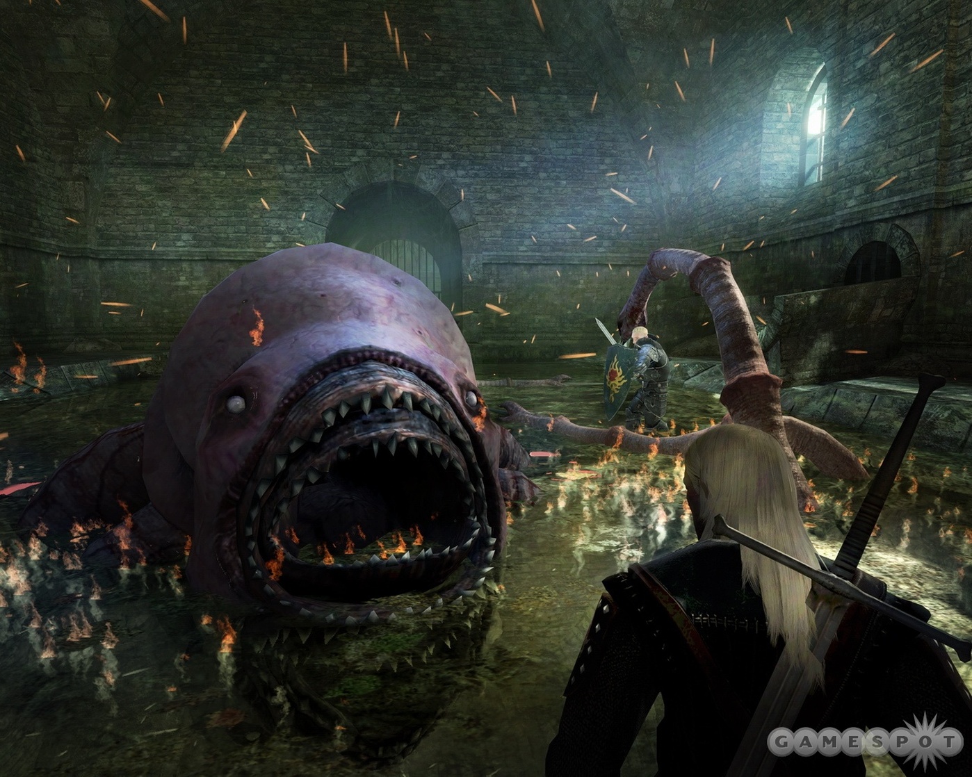 The Witcher