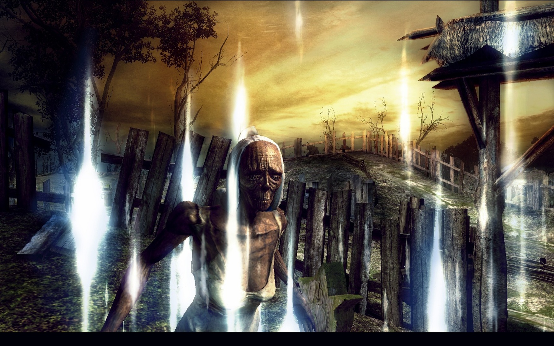 The Witcher