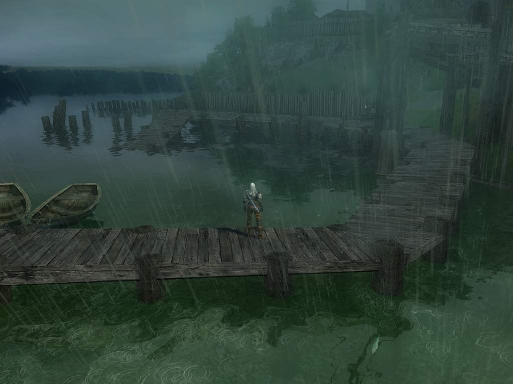 The Witcher