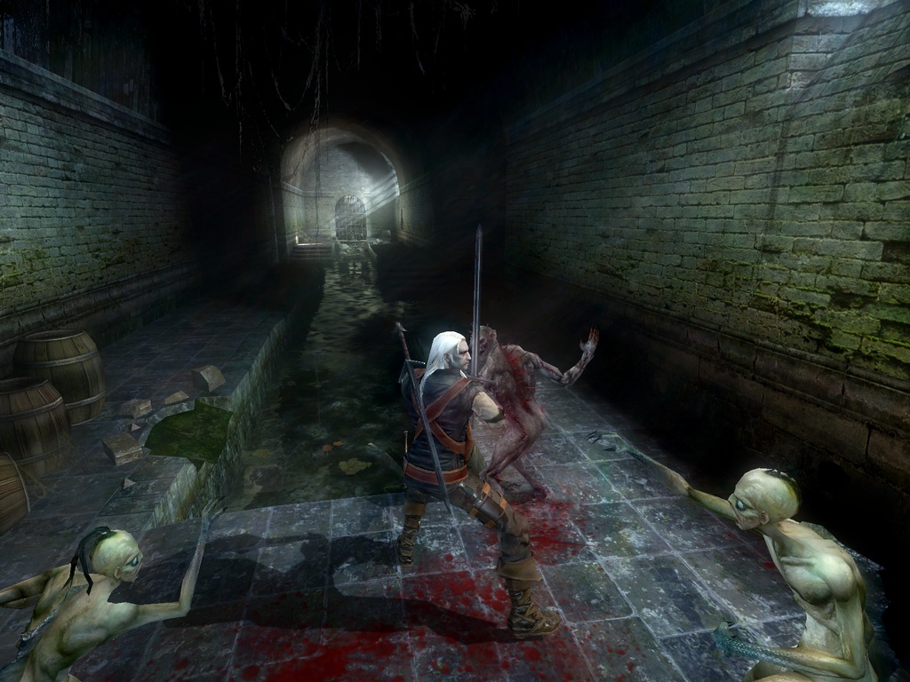 The Witcher