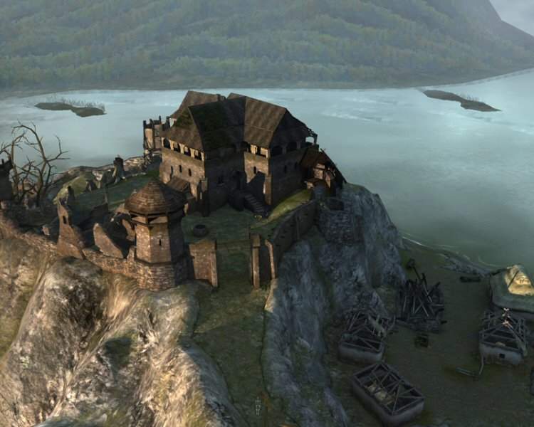 The Witcher