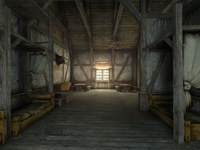 The Witcher