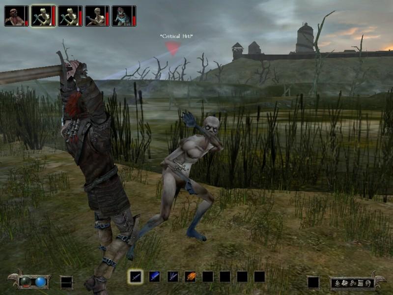The Witcher