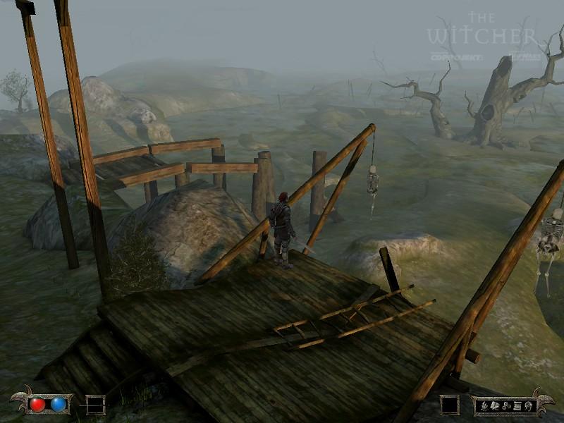 The Witcher