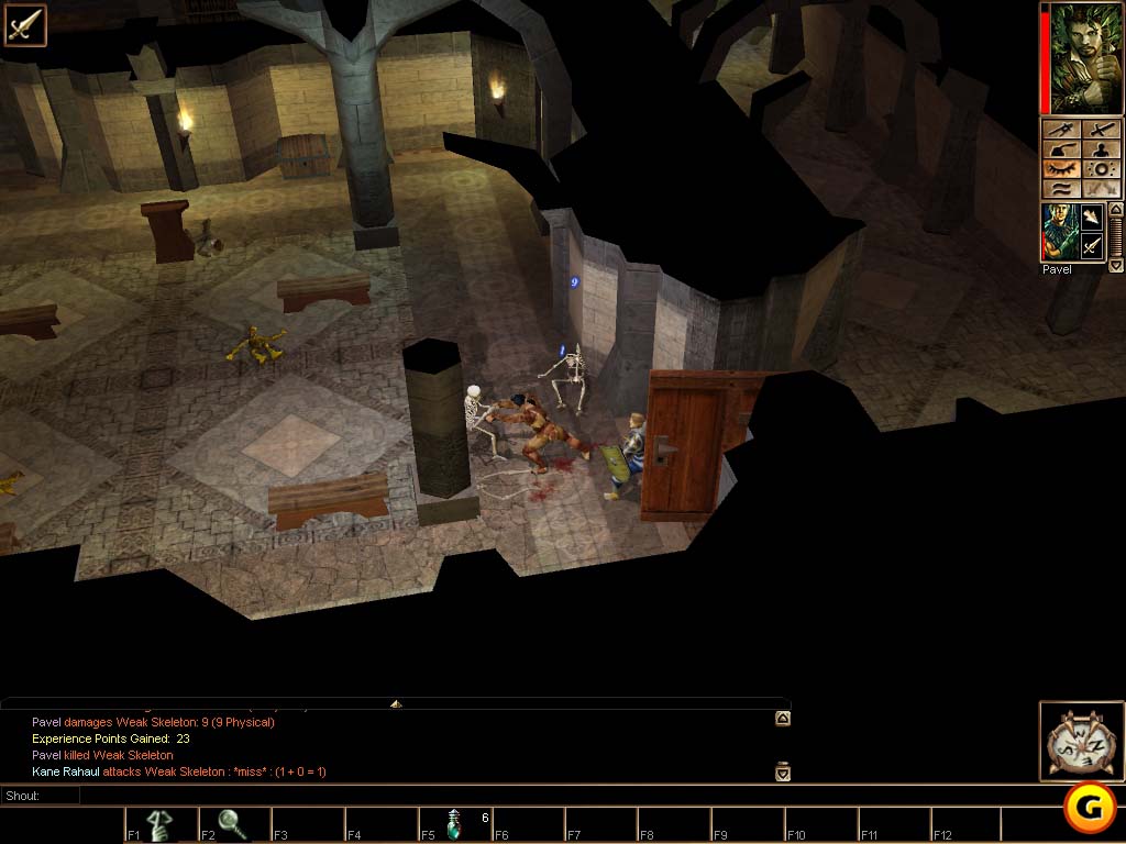 Neverwinter Nights