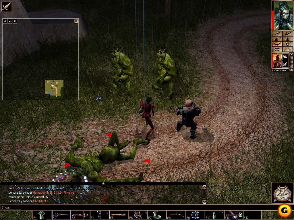 Neverwinter Nights