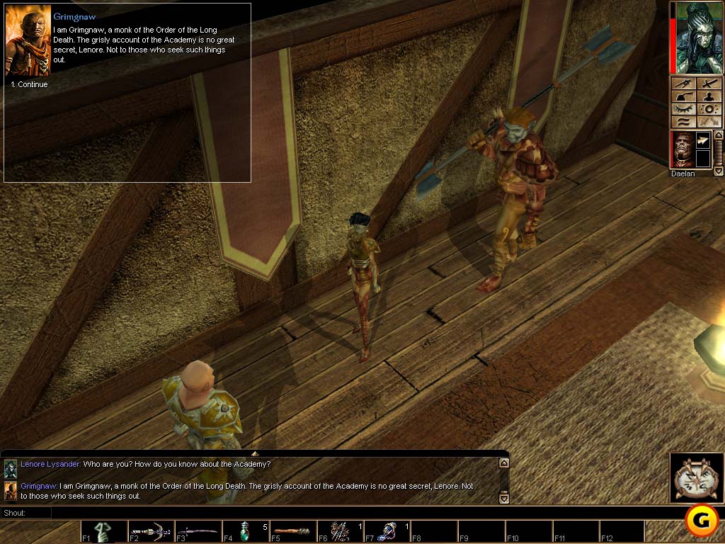 Neverwinter Nights