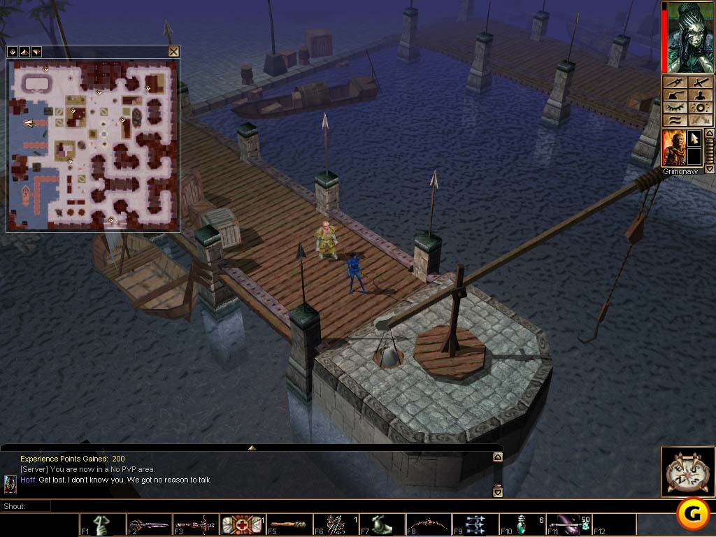 Neverwinter Nights