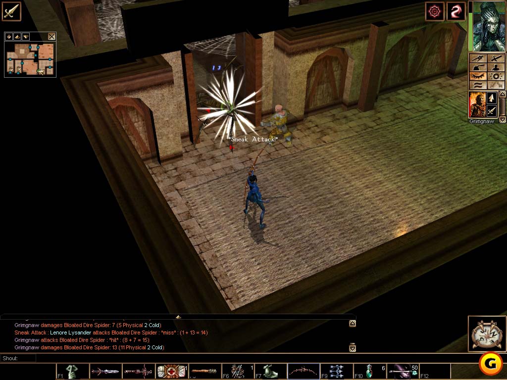 Neverwinter Nights