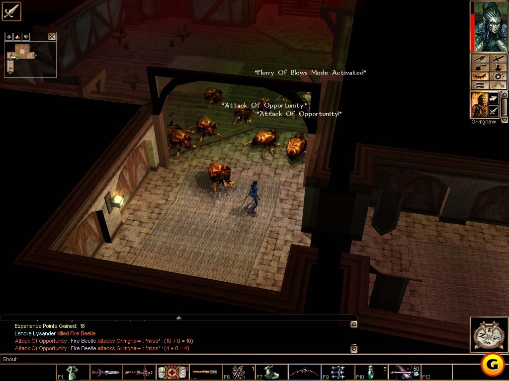 Neverwinter Nights