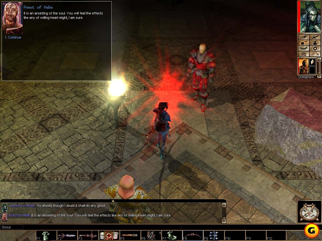 Neverwinter Nights