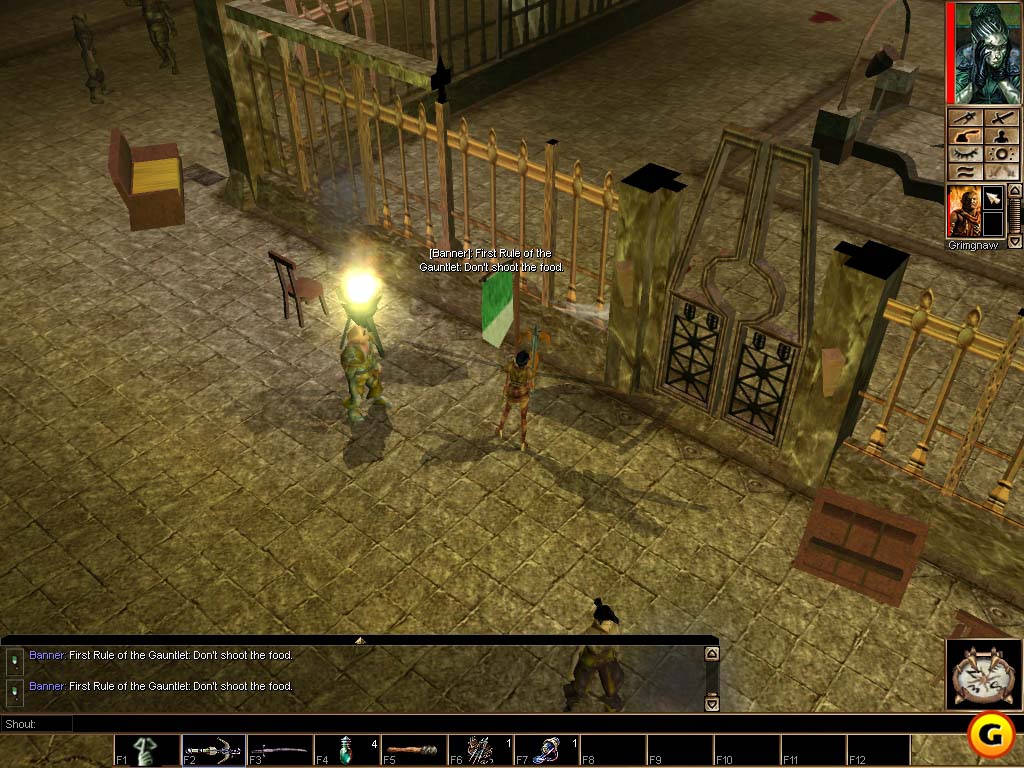 Neverwinter Nights