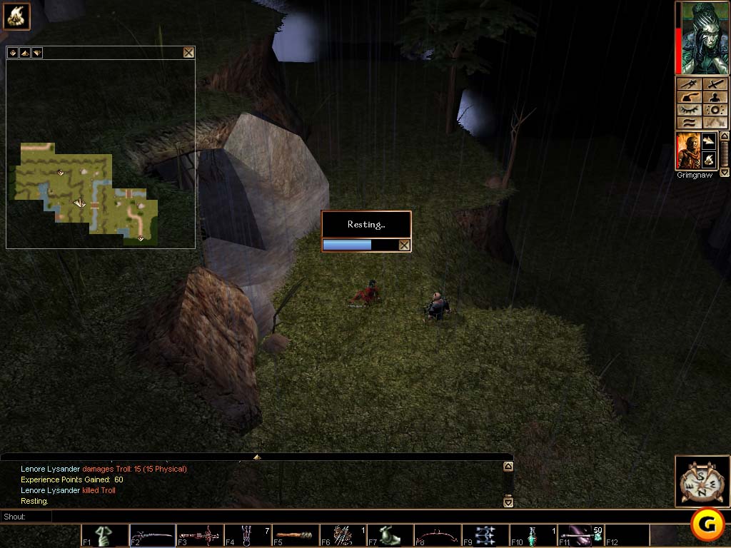 Neverwinter Nights