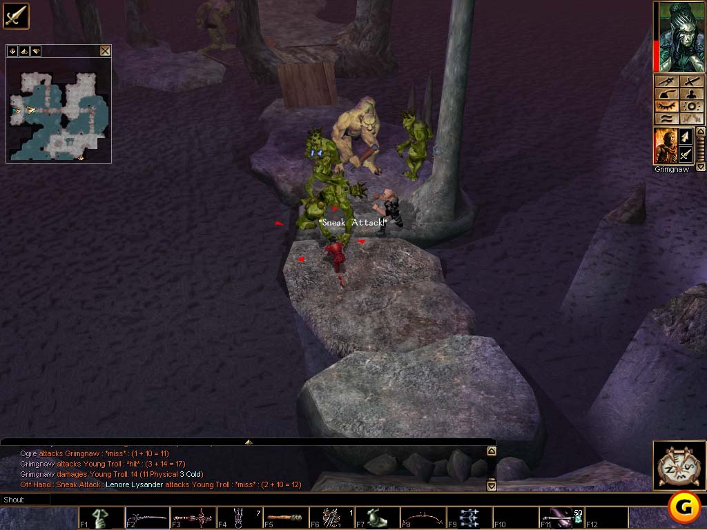 Neverwinter Nights