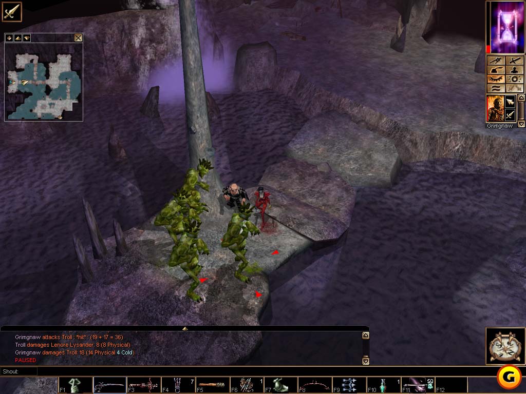 Neverwinter Nights